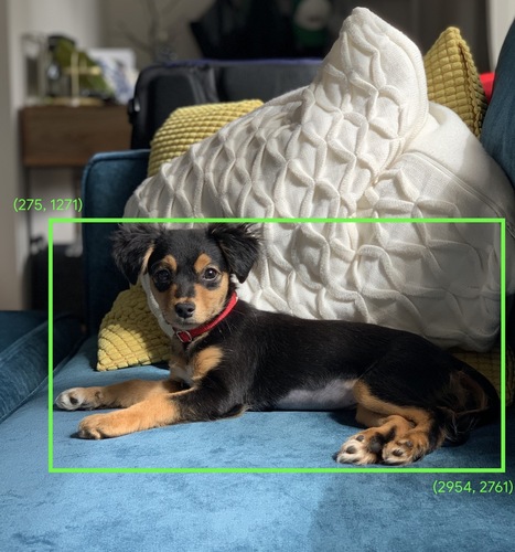In an image, the (x, y) coordinates of a rectangle around an area of interest, such as the dog in the image below.